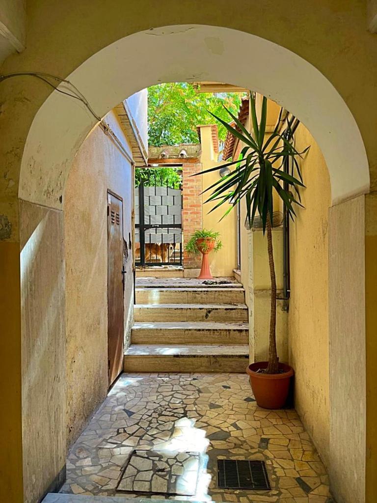 Ltpanella Rose Flat Apartment